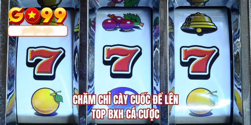 Chăm chỉ cày cuốc để lên top BXH cá cược