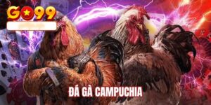Đá gà Campuchia