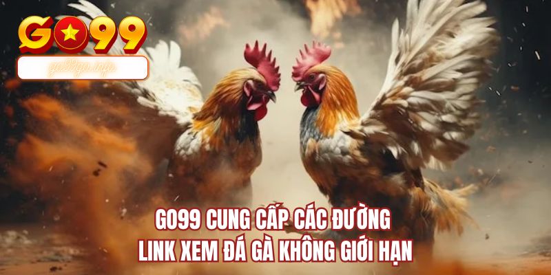 GO99 cung cấp các đường link xem đá gà không giới hạn
