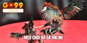 Mẹo Chơi Đá Gà Online
