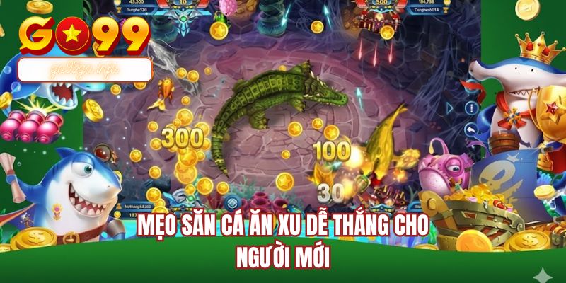 Mẹo săn cá ăn xu dễ thắng cho người mới
