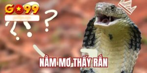 nằm mơ thấy rắn