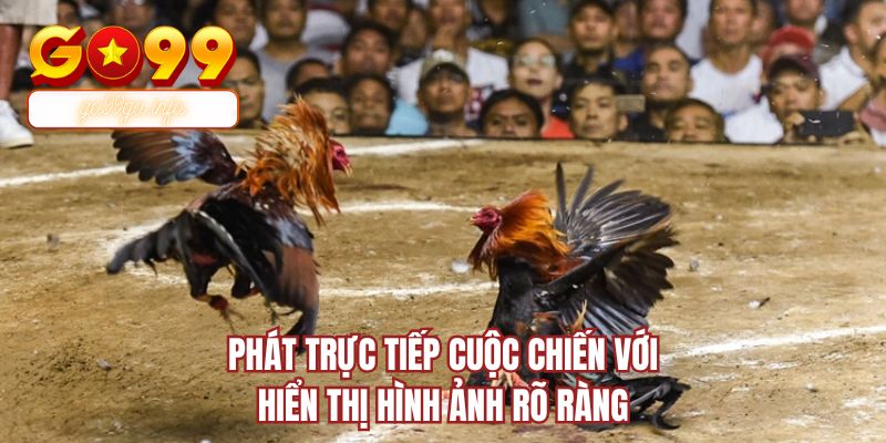 Phát trực tiếp cuộc chiến với hiển thị hình ảnh rõ ràng