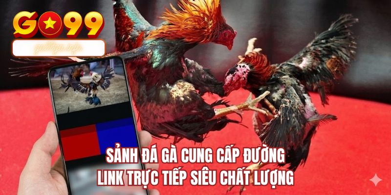 Sảnh đá gà cung cấp đường link trực tiếp siêu chất lượng