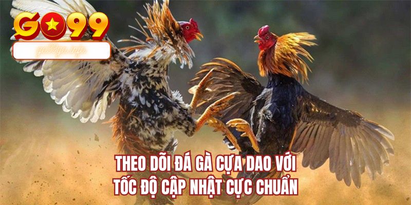 Theo dõi đá gà cựa dao với tốc độ cập nhật cực chuẩn